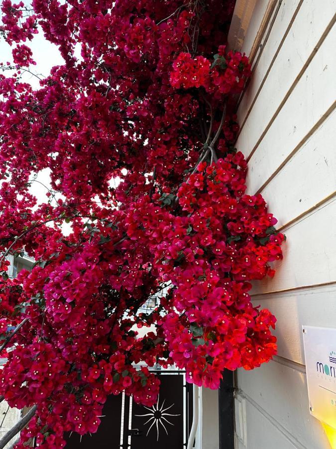 Mariviva Guest House Terracina Exterior photo