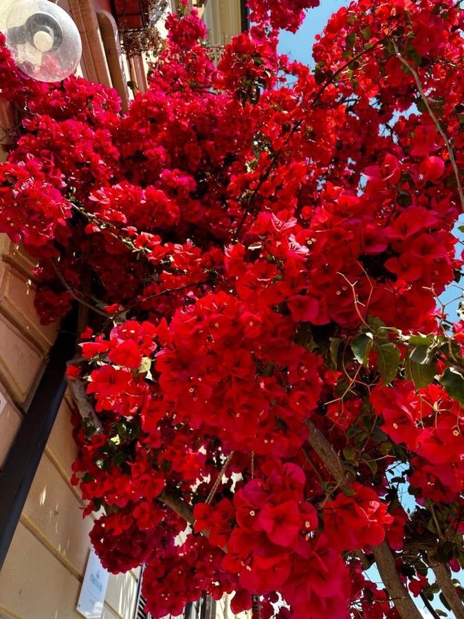 Mariviva Guest House Terracina Exterior photo
